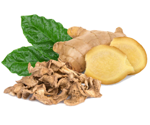 Dry Ginger