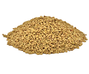 Fenugreek