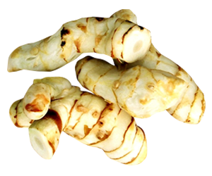 Galangal Roots