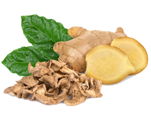 Dry Ginger