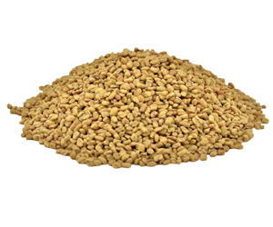 Fenugreek