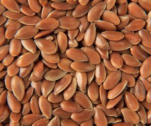 Flax Seeds