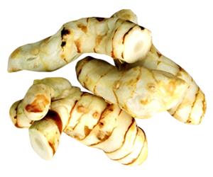 Galangal Roots