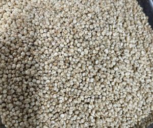 Quinoa